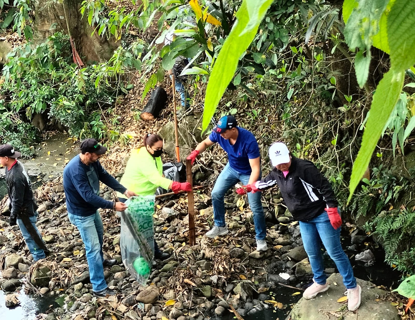 c16b0c5b-0cd8-4ee0-a2a1-c5f9af932f8f