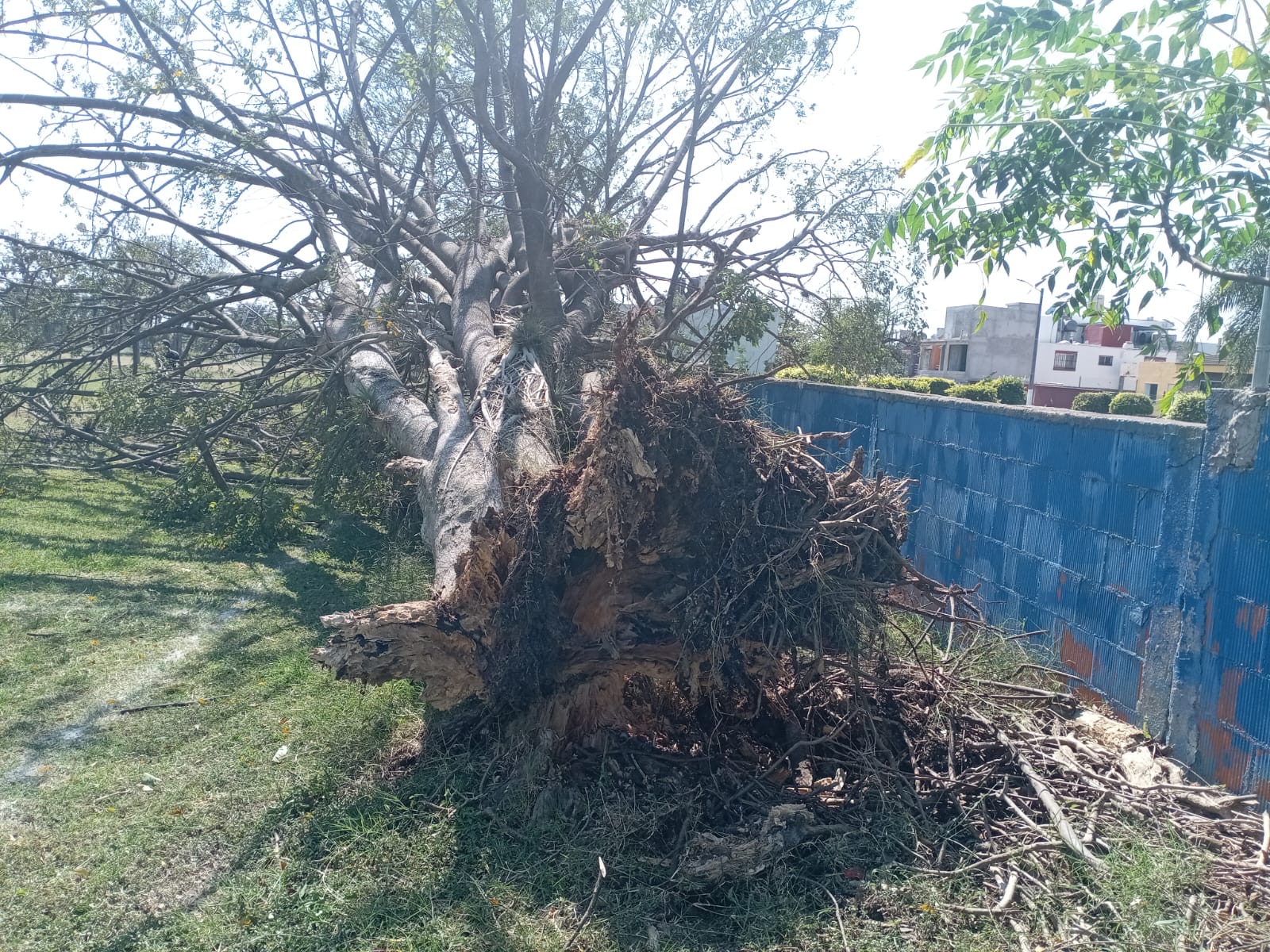 0325e97d-ec09-4585-9052-13385b01e694