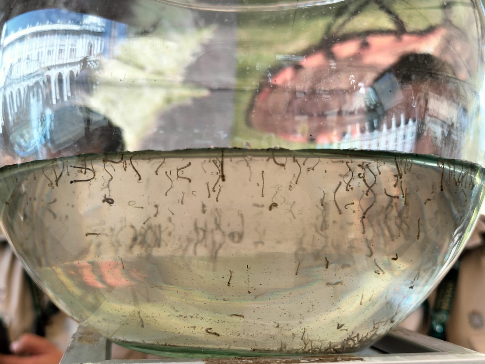 411b5863-4d65-495b-bd1d-e0db0a5089b0