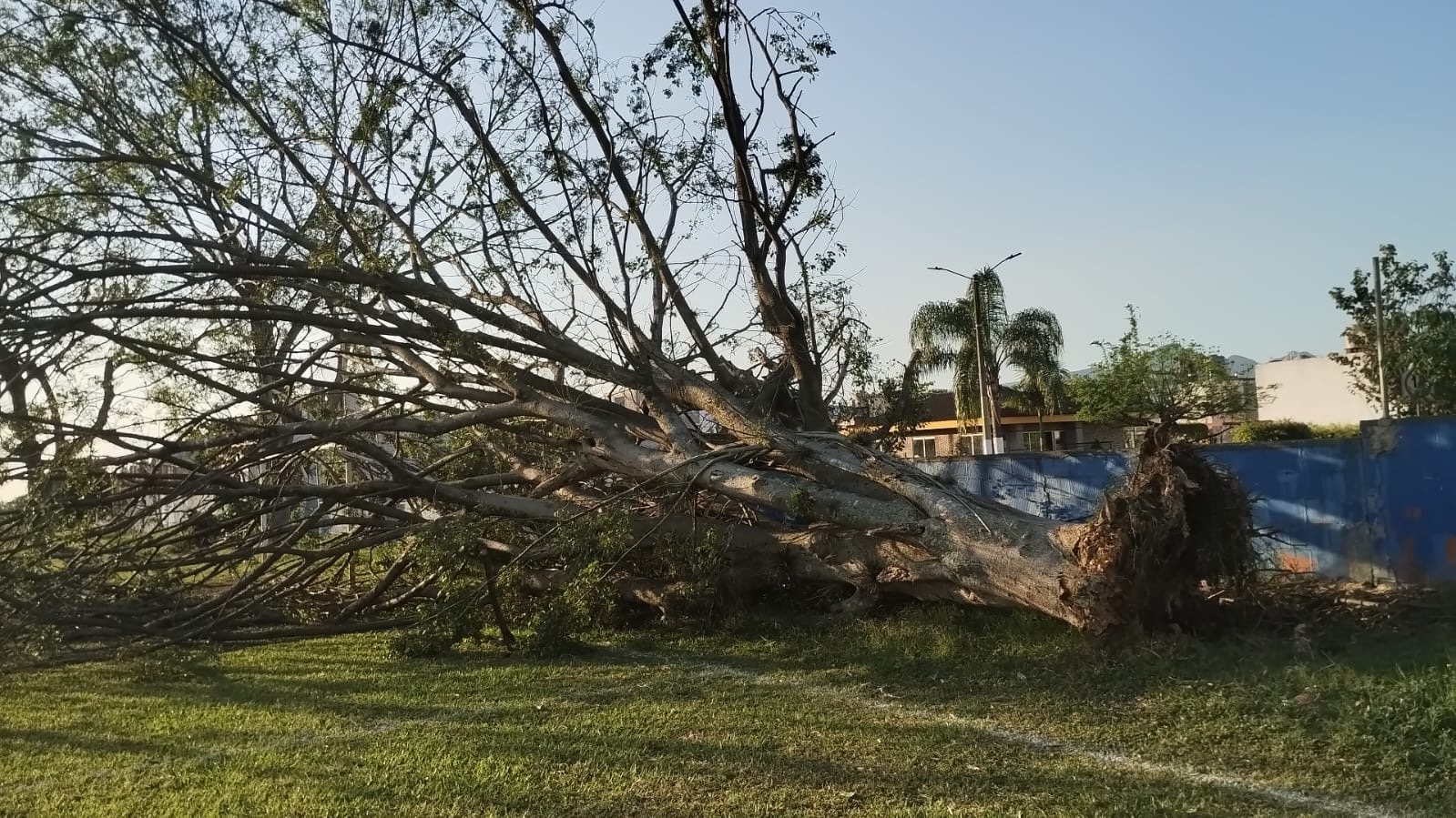 534880d2-1048-4149-8422-b4ca0bef6bc6