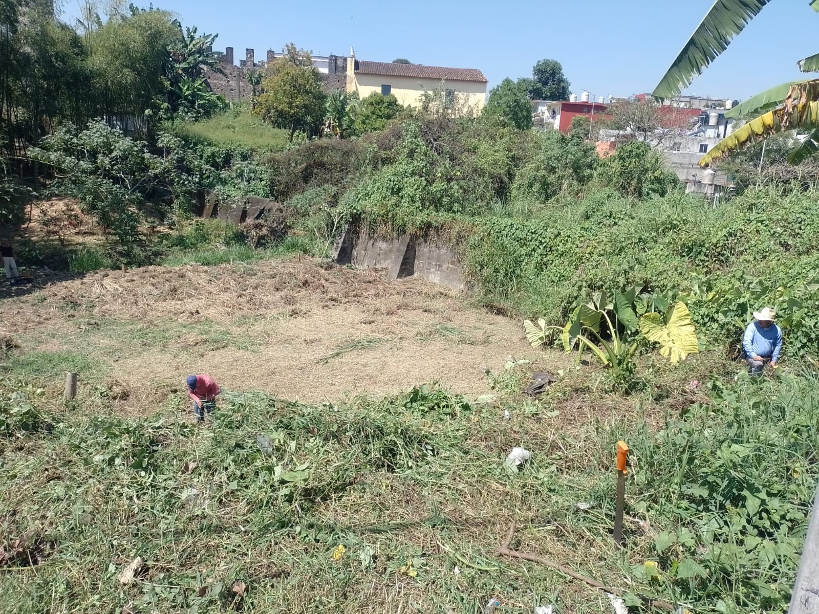 55bb4ab6-3c0d-4ea8-8875-282747132dc7