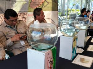 89c3cd73-5c9b-4eab-b755-9ef04f0f9bdd