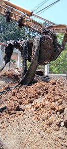 8bfb12cc-845f-4f56-a0de-87285c6677fc