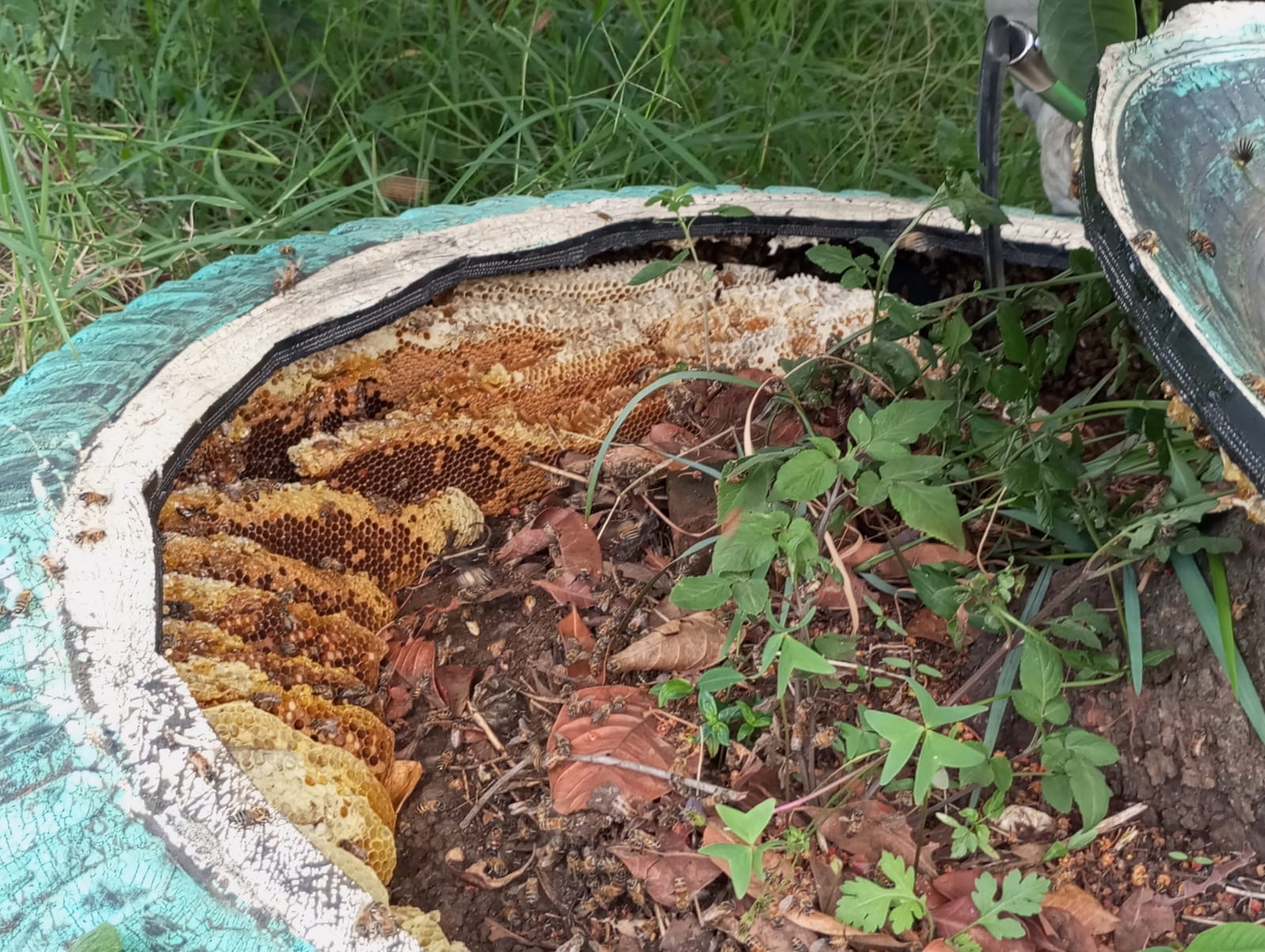 060140c0-976a-4ec2-836e-4059af70c527