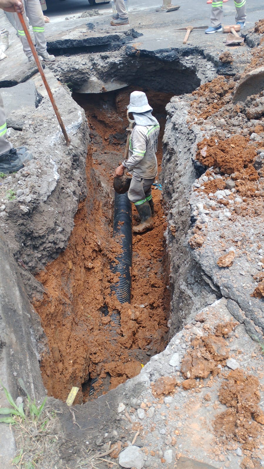 1622b523-63af-4d4d-bbb3-113bd3702e3d