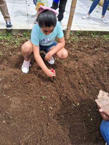 7bf3a5e7-fa84-4554-b44d-943a49e831c7